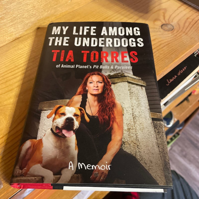 My Life among the Underdogs