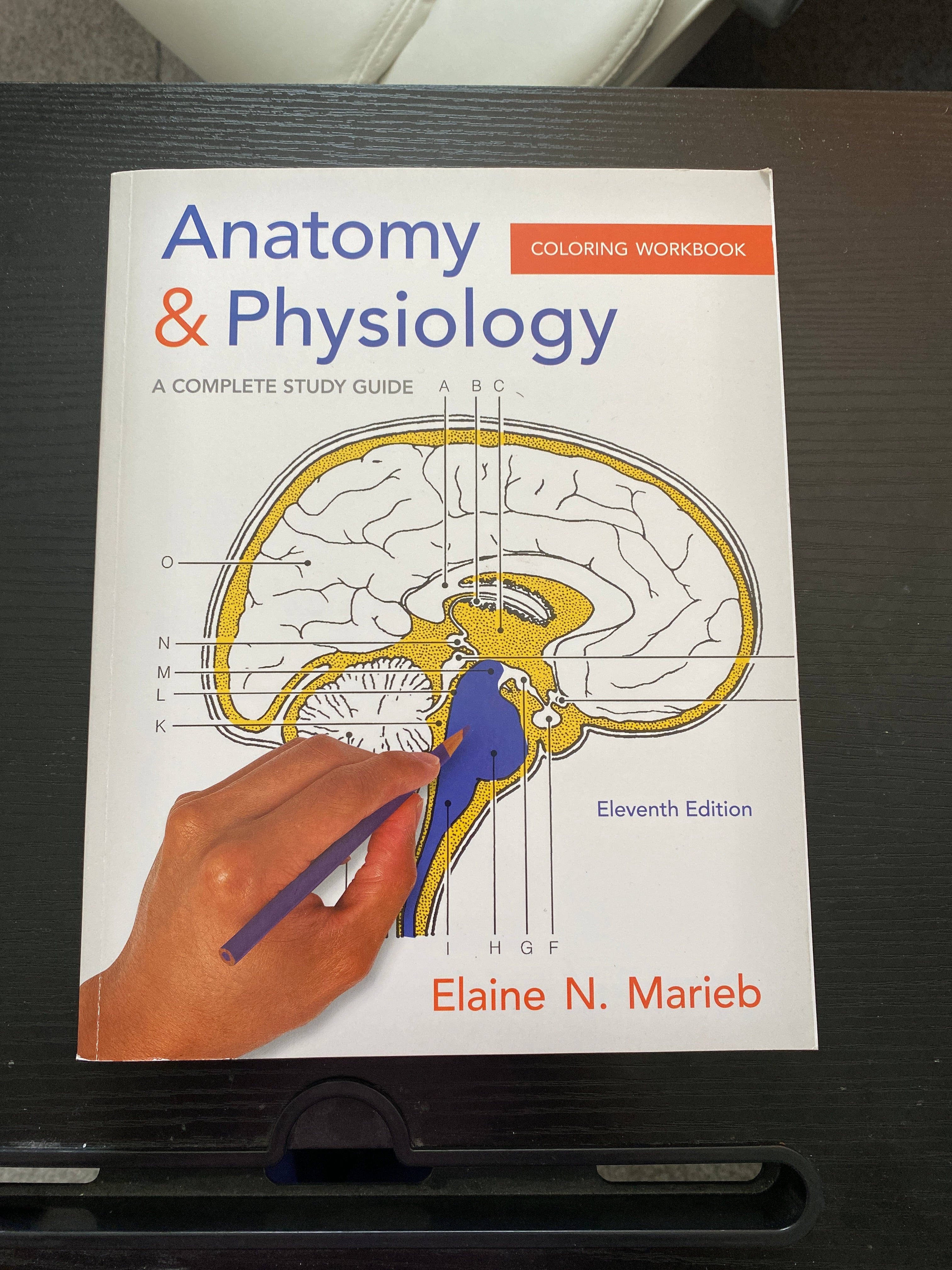 Anatomy and Physiology Coloring Workbook