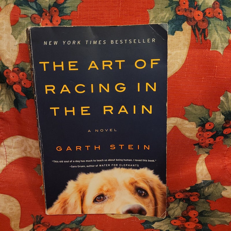 The Art of Racing in the Rain