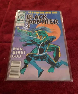 Black Panther [Man. Beast. GOD!]