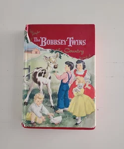 *VINTAGE* The Bobbsey Twins in the Country