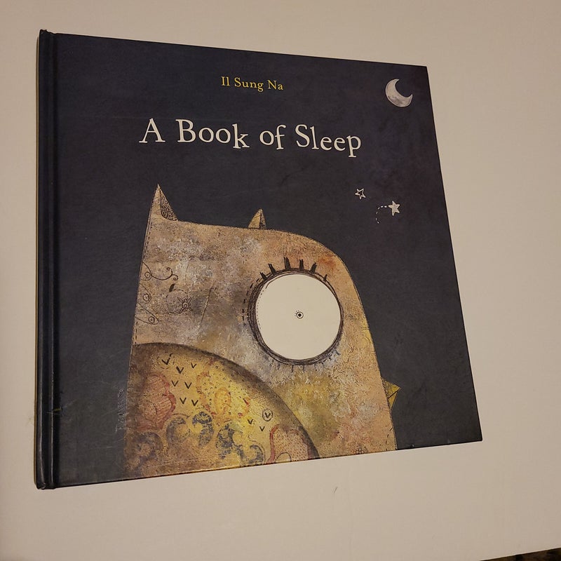 A Book of Sleep