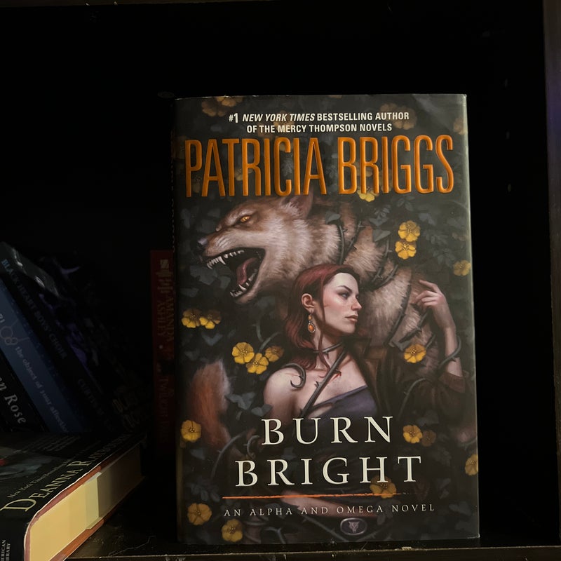 Burn Bright by Patricia Briggs Hardcover Pangobooks