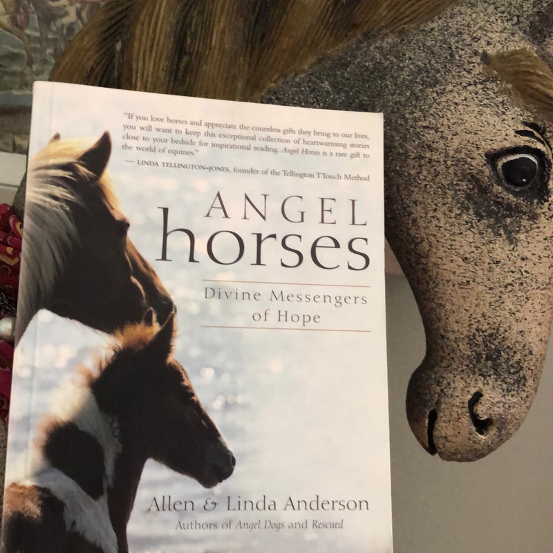 Angel horses