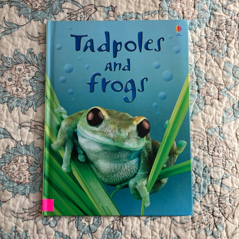 Tadpoles and Frogs