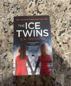 The Ice Twins