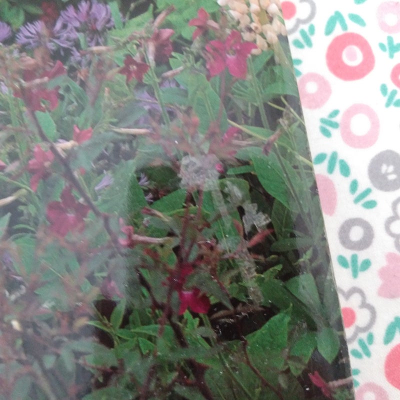 Impressionist Roses 