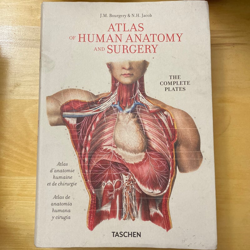 Atlas Of Human Anatomy and Surgery