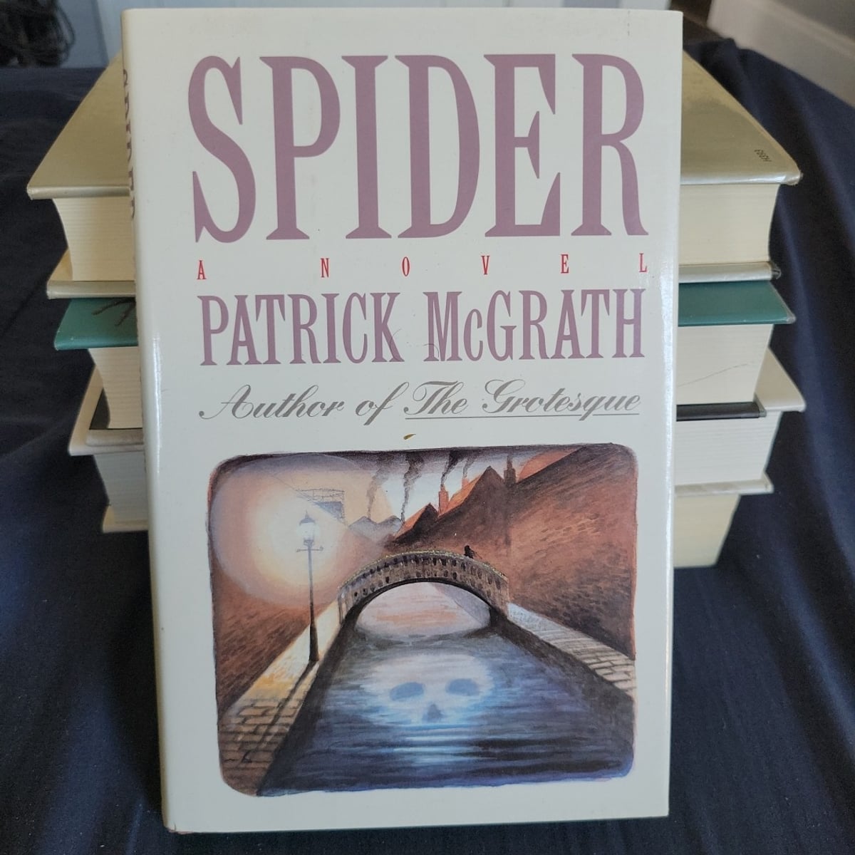 SPIDER MCGRATH PATRICK AMAZON DE B CHER visual data 6