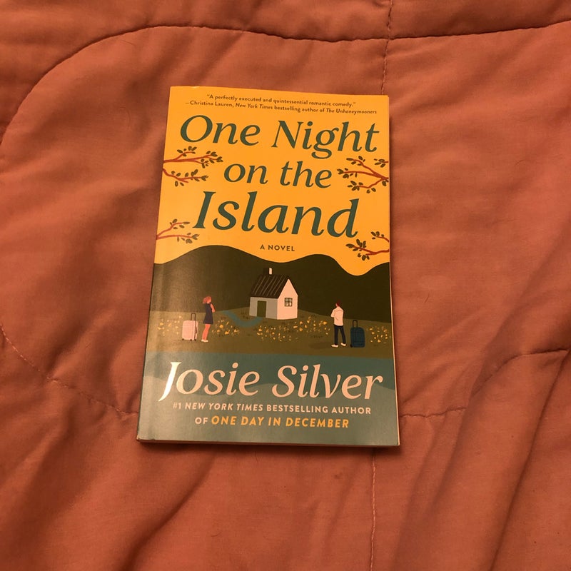 One Night on the Island