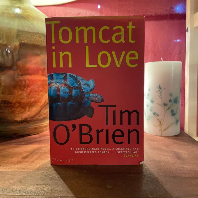 Tomcat in Love