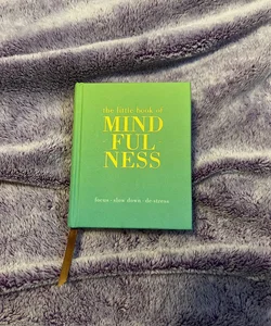 The Little Book of Mindfulness 