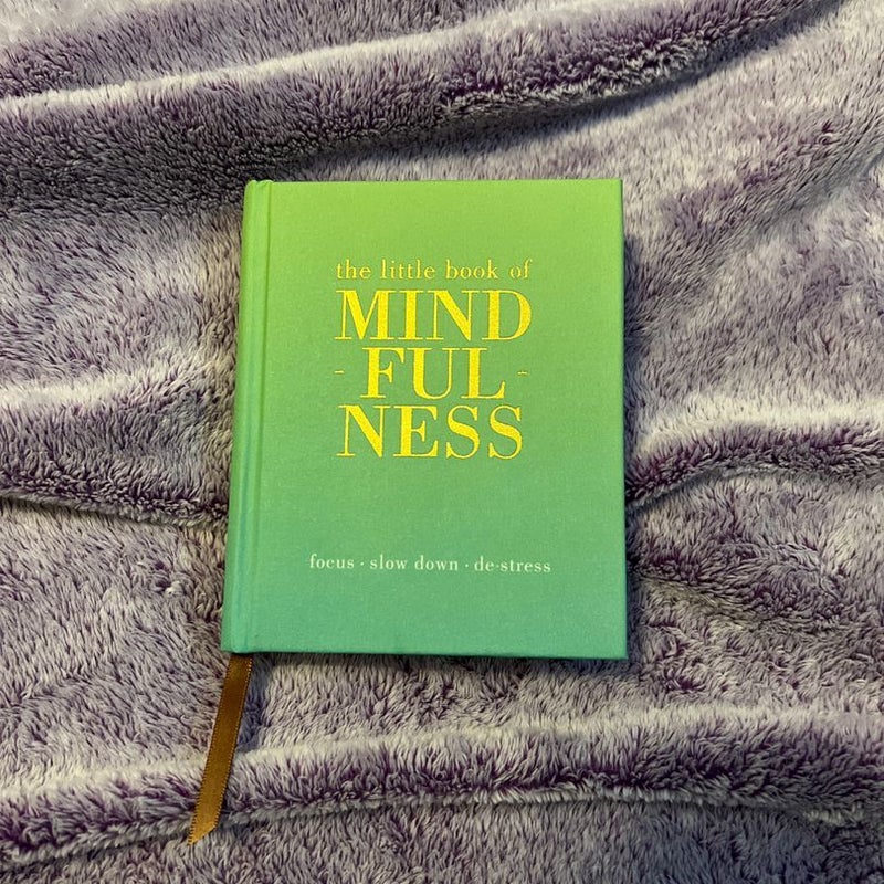 The Little Book of Mindfulness 