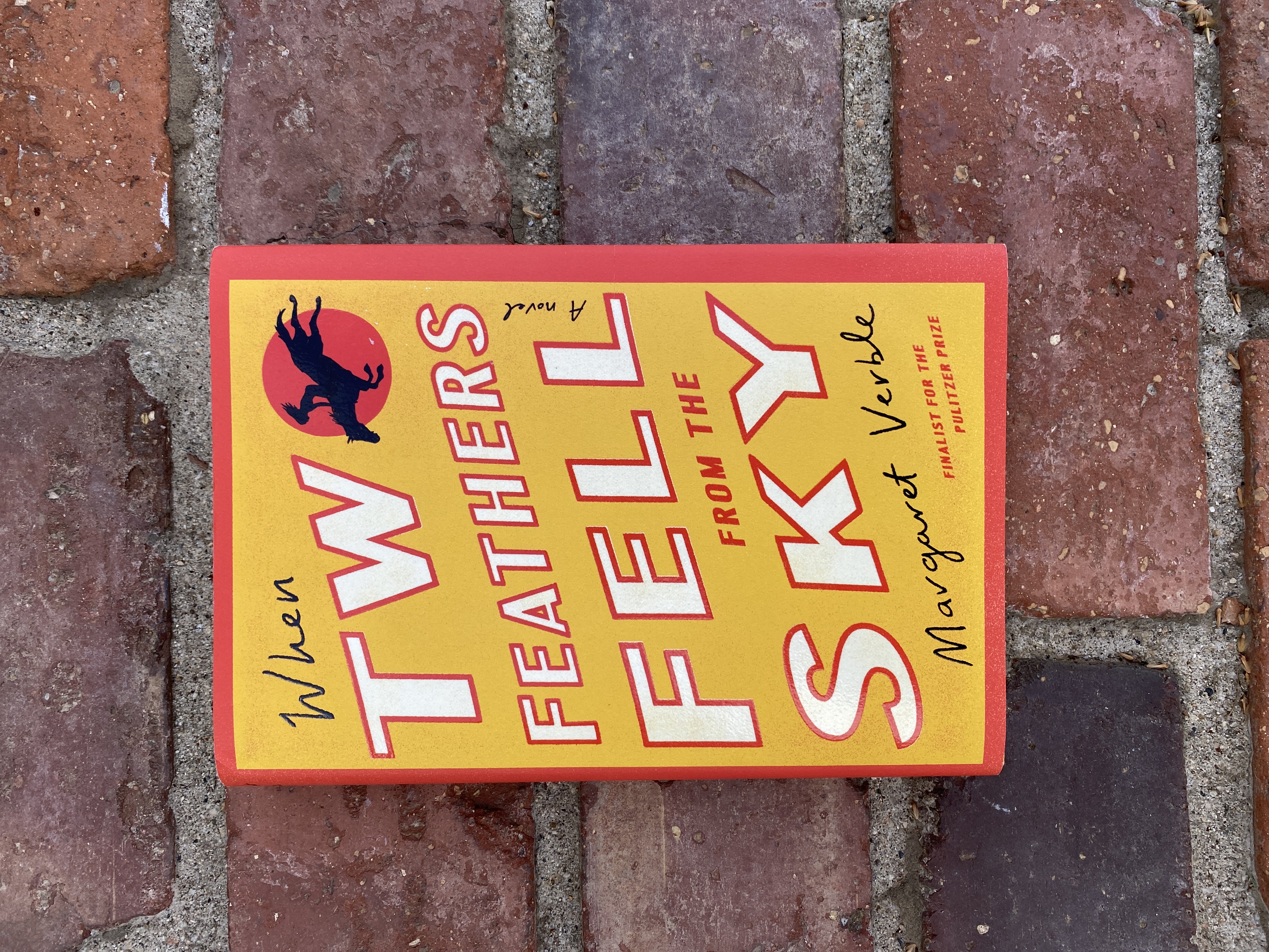 When Two Feathers Fell from the Sky