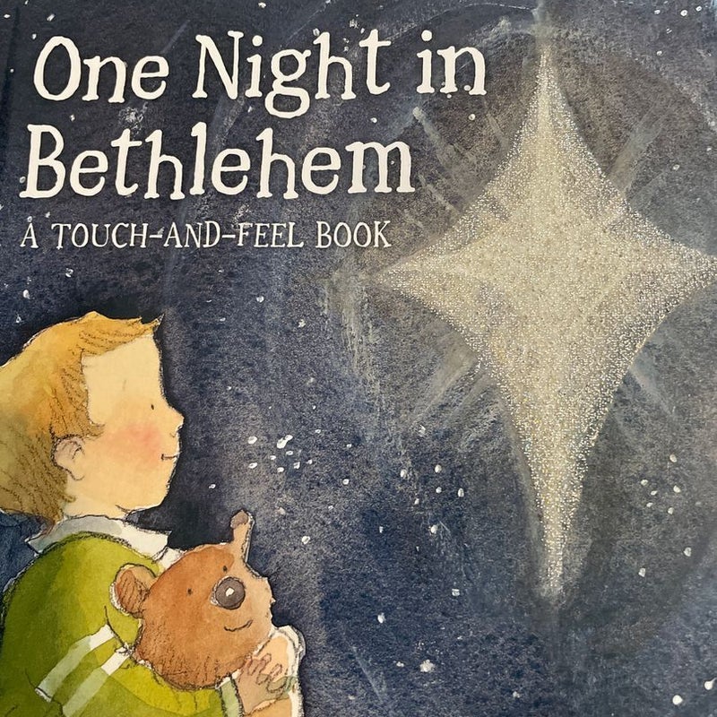 One Night In Bethlehem
