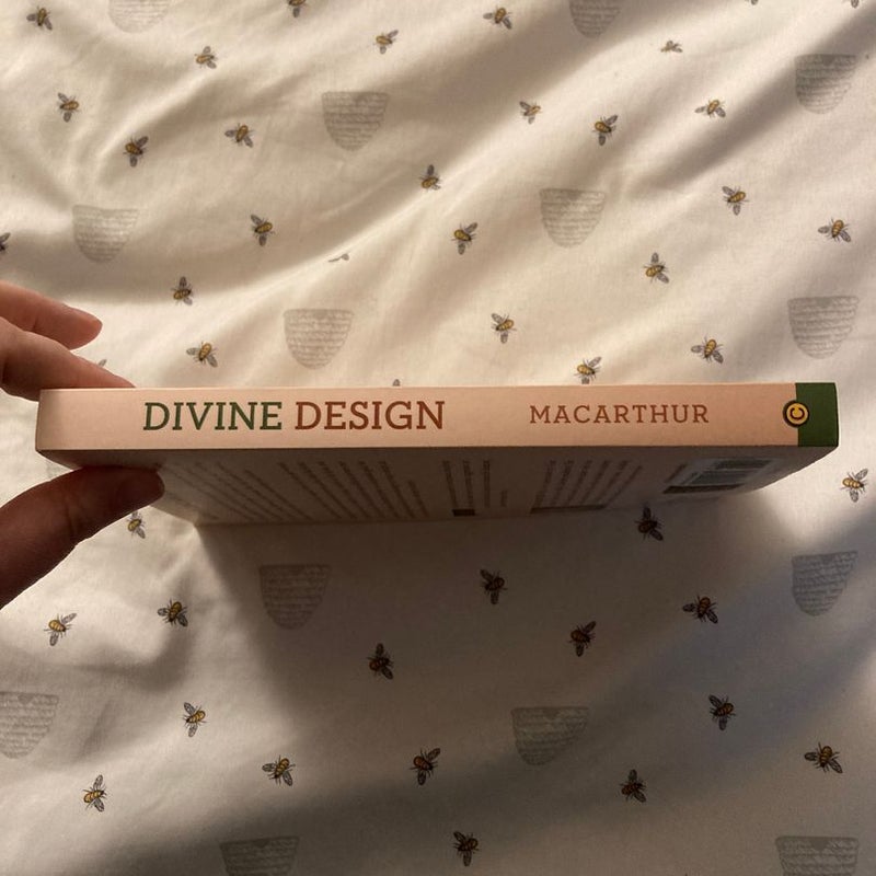 Divine Design