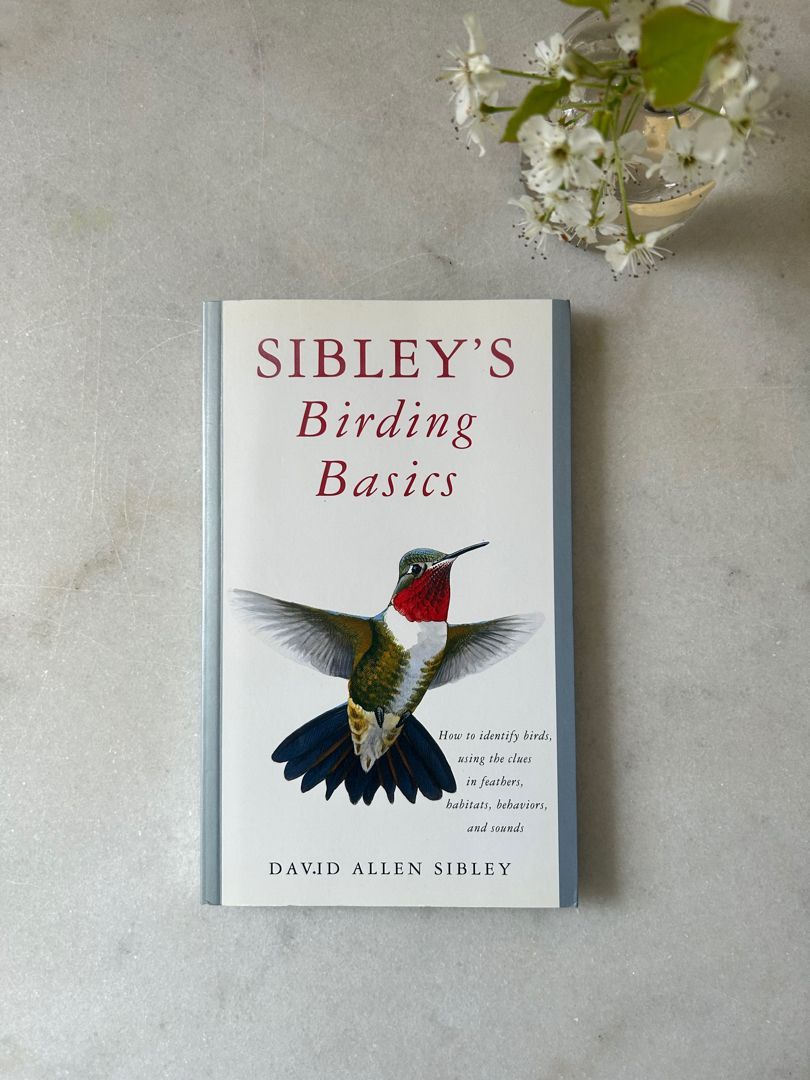 Sibley's Birding Basics