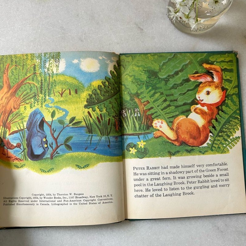 Peter Rabbit and Reddy Fox
