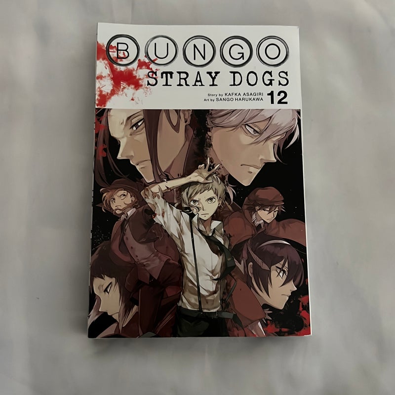 Bungo Stray Dogs, Vol. 12