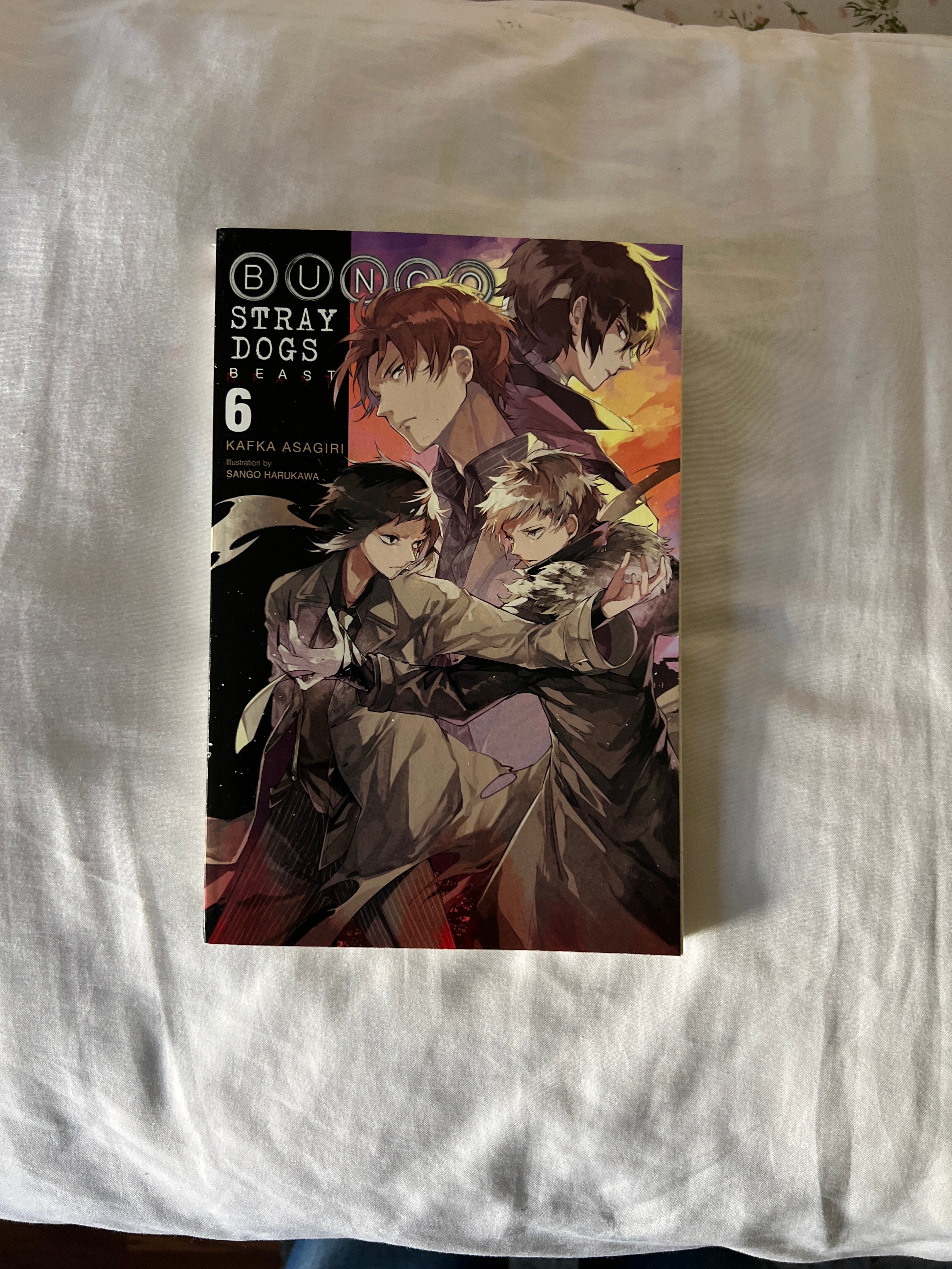 Bungo Stray Dogs, Vol. 6 (light Novel)