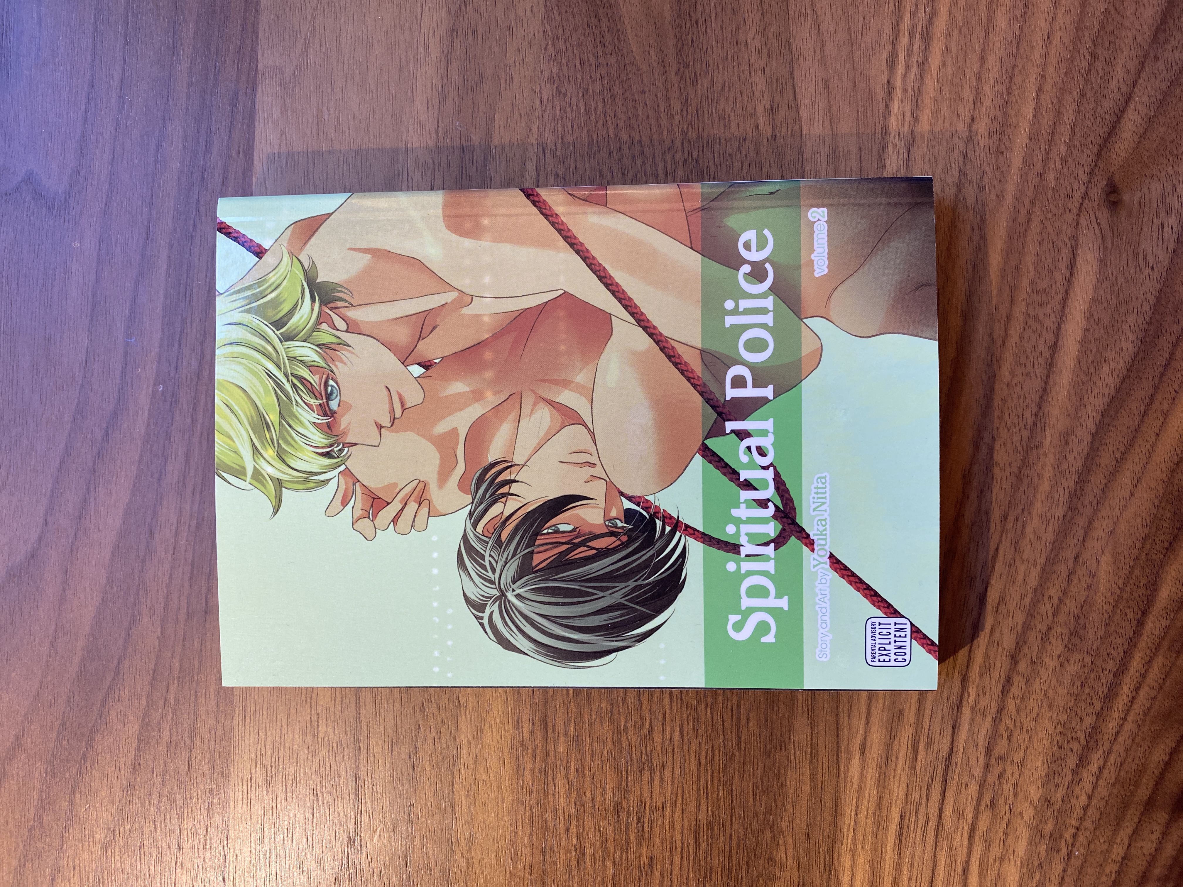 Spiritual Police, Vol. 2