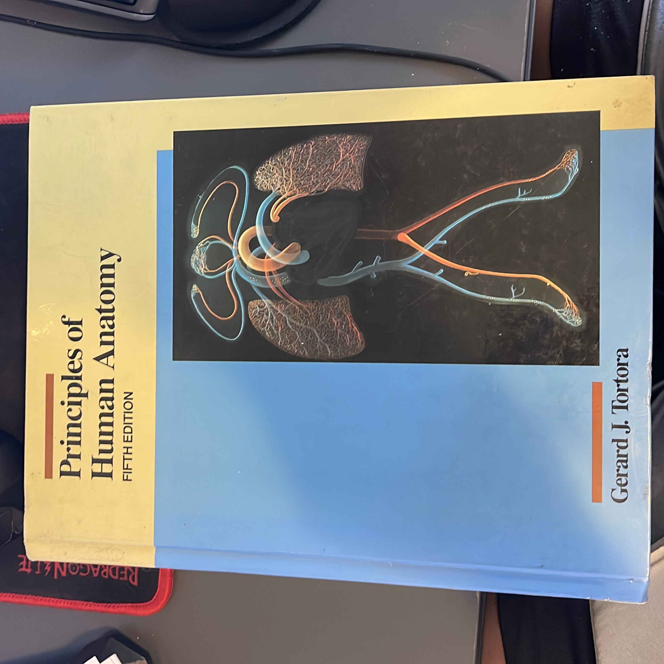 Principles of Human Anatomy