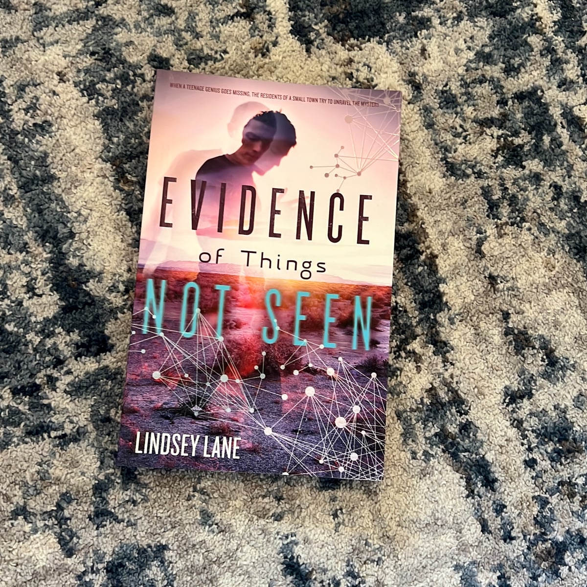 Evidence of Things Not Seen by Lindsey Lane