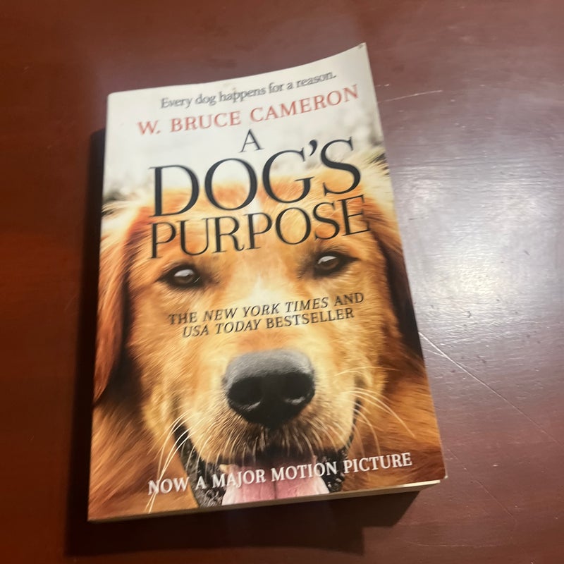 A Dogs Purpose