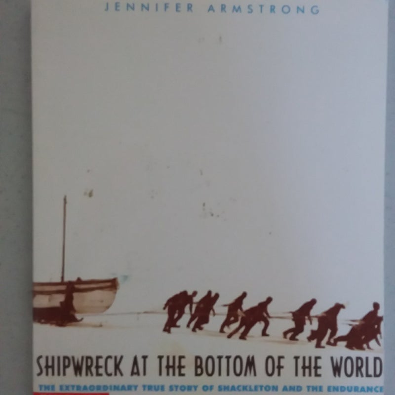 Shipwreck At The Bottom of the World