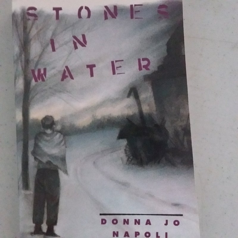 Stones In Water