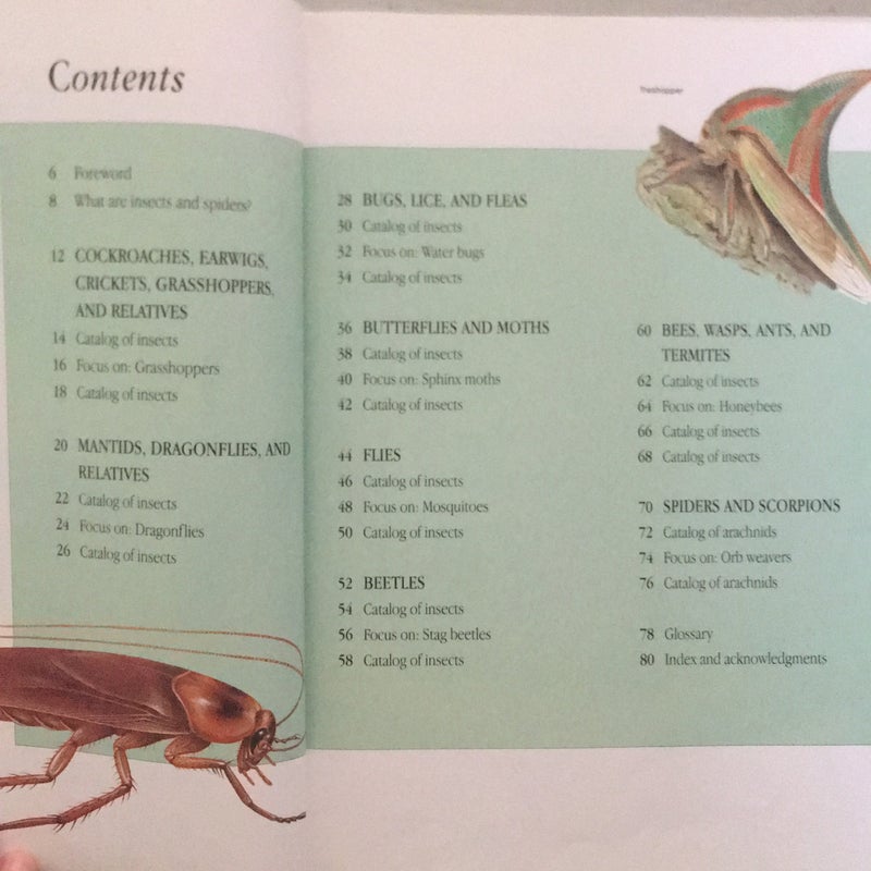 Children’s Guide to Insects and Spiders