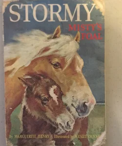 Stormy Misty’s Foal