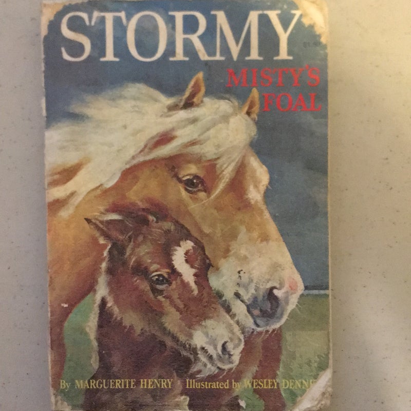 Stormy Misty’s Foal