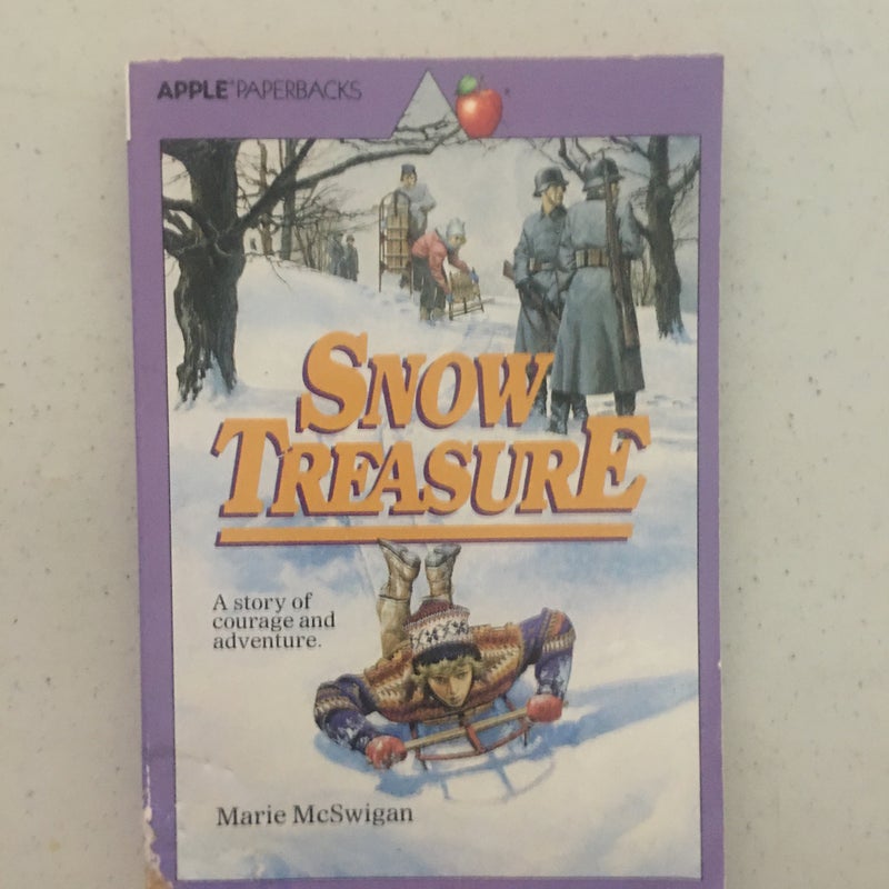 Snow Treasure 