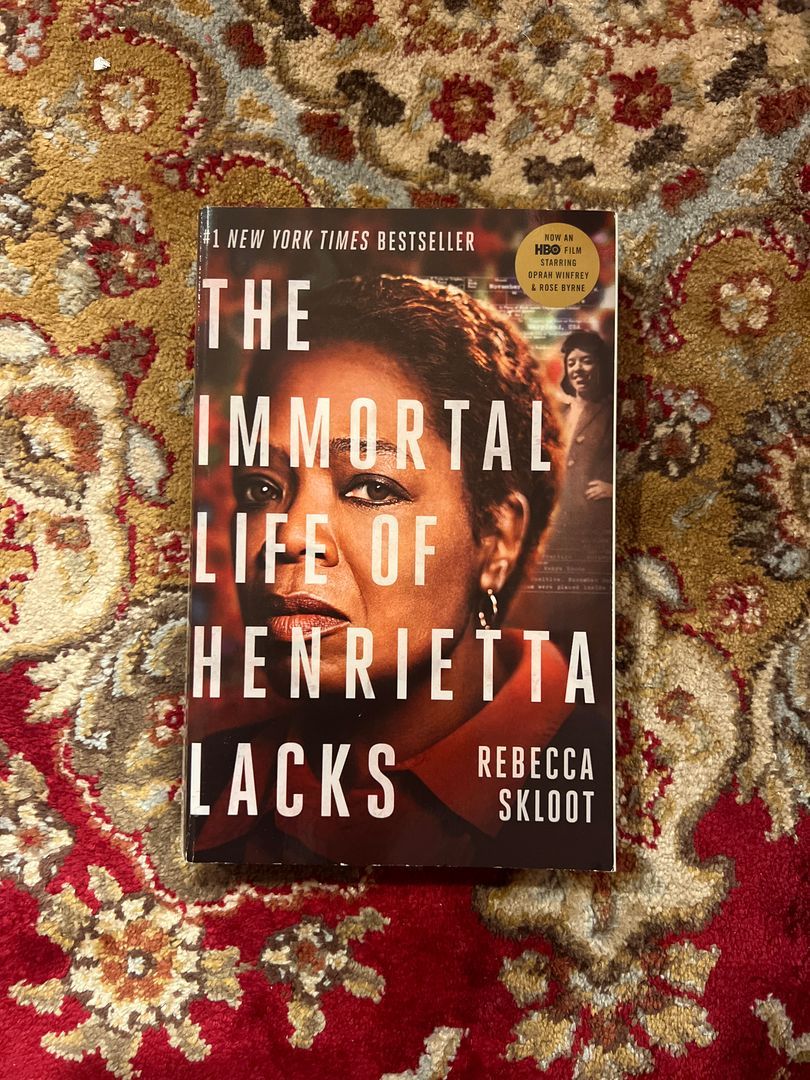 Sale image for 49a9f0cd-5c33-453a-aae8-87c764dfdd98-y22fkKR1HpWnmY5a8ubr6aqsEY72