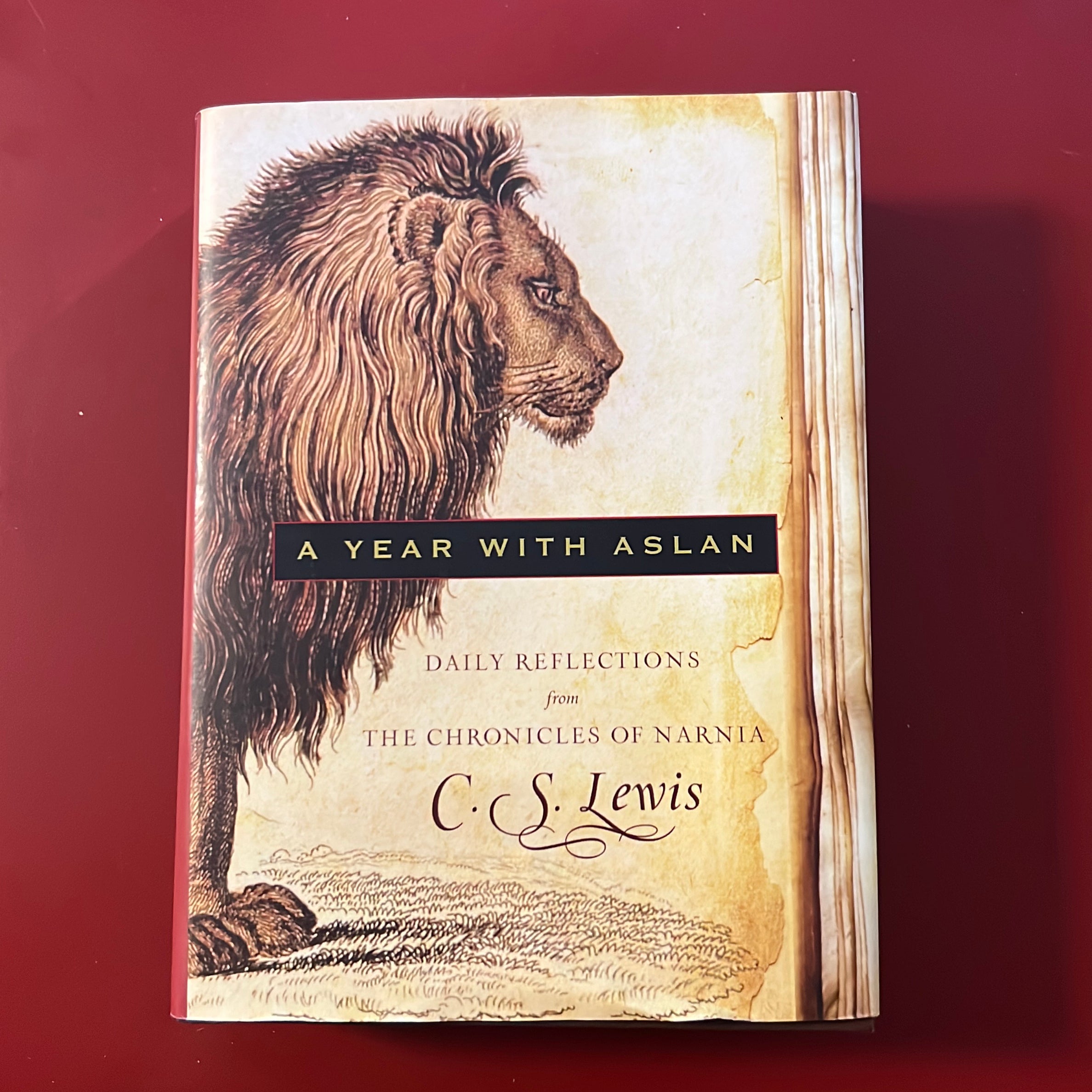 A Year with Aslan