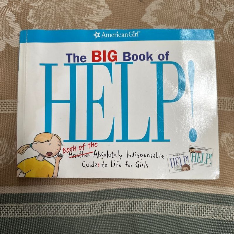 The Big Book of Help by Nancy Holyoke