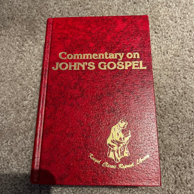 Commentary John's Gospel