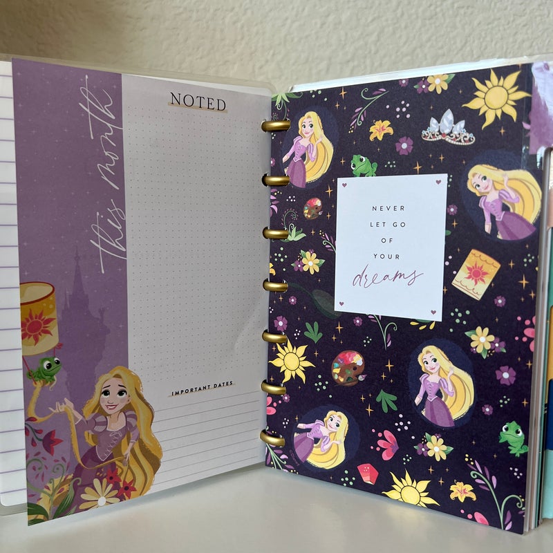 Mini Happy Planner Disney Princess