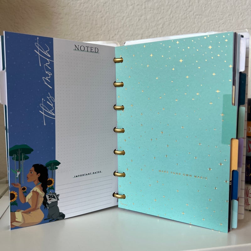 Mini Happy Planner Disney Princess