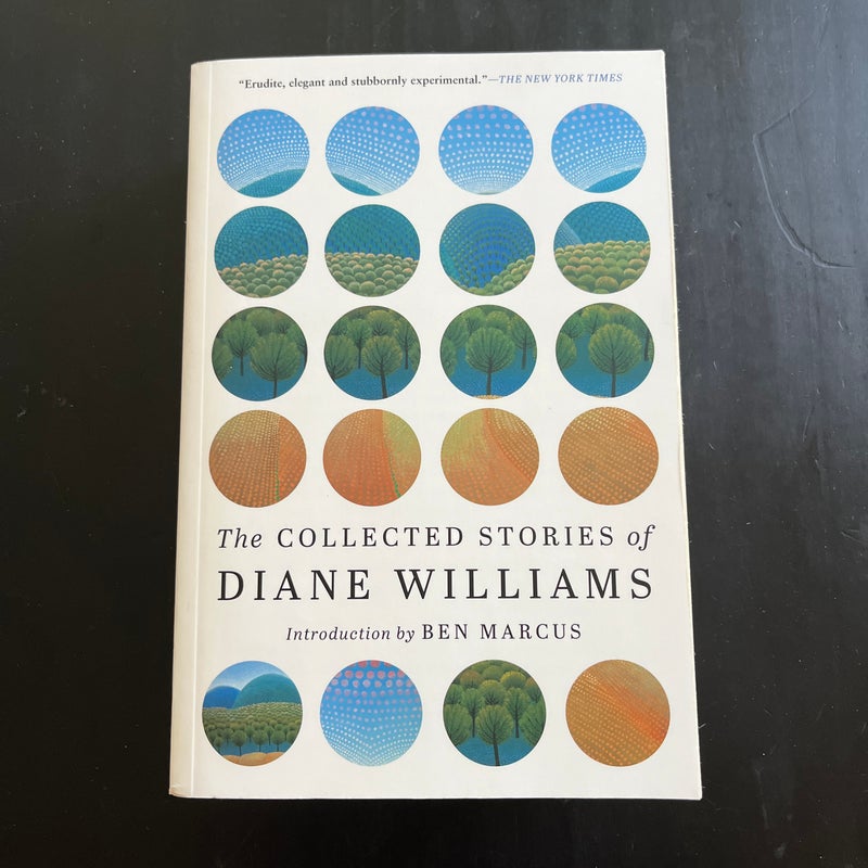 The Collected Stories of Diane Williams