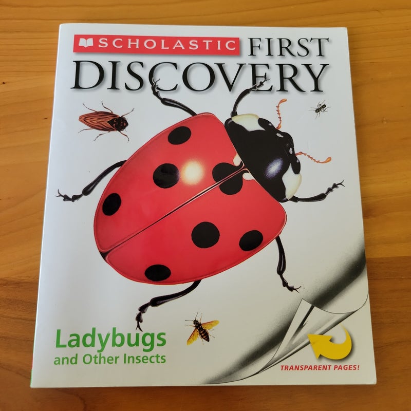 Ladybugs and Other Insects
