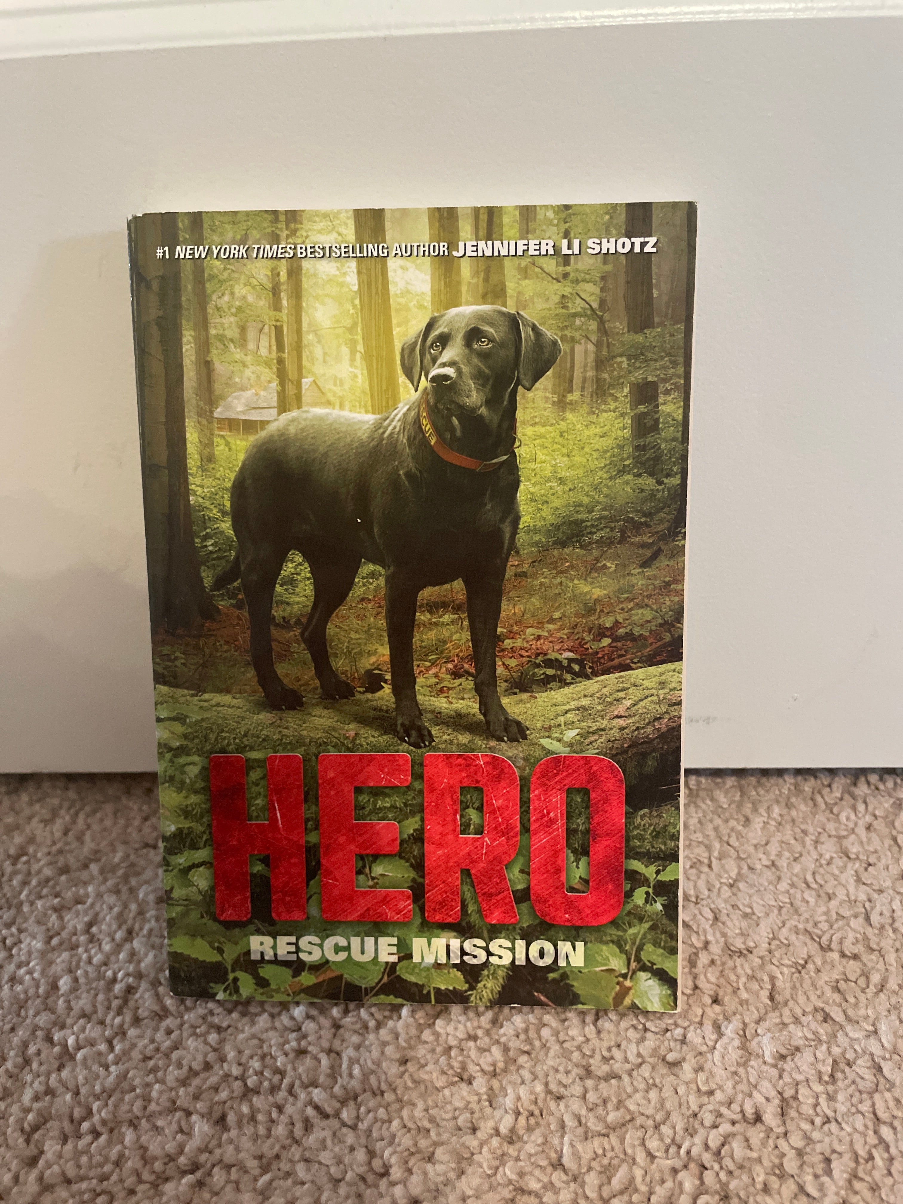 Hero: Rescue Mission