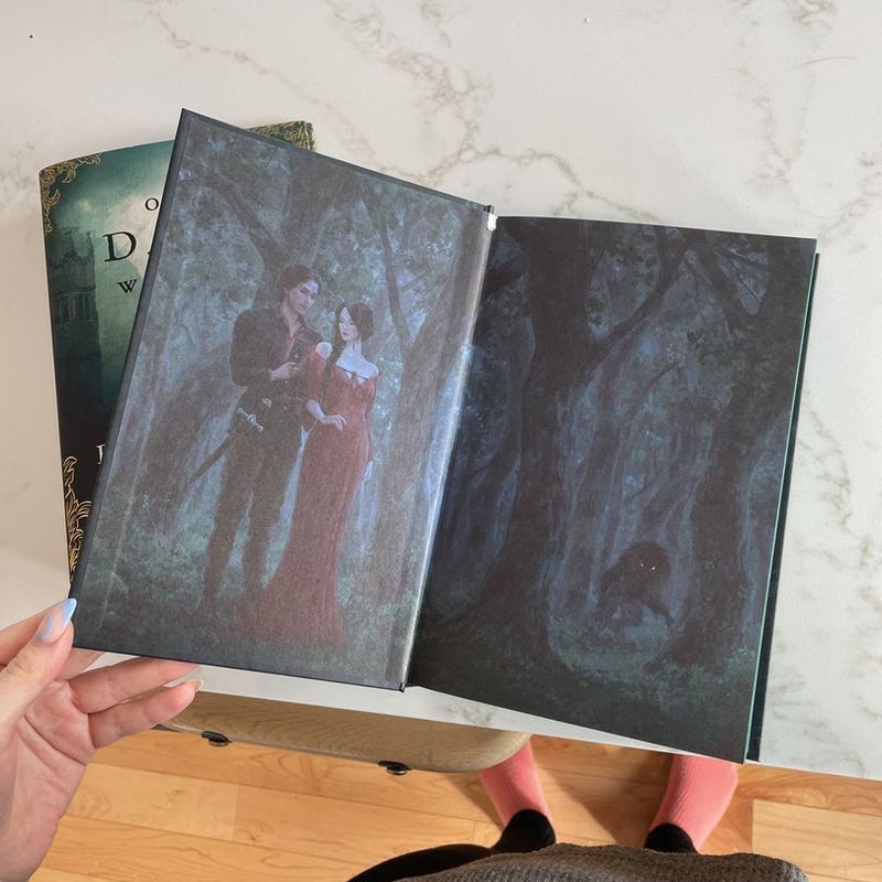 One Dark Window Fairyloot special edition by Rachel Gillig, Hardcover Pangobooks