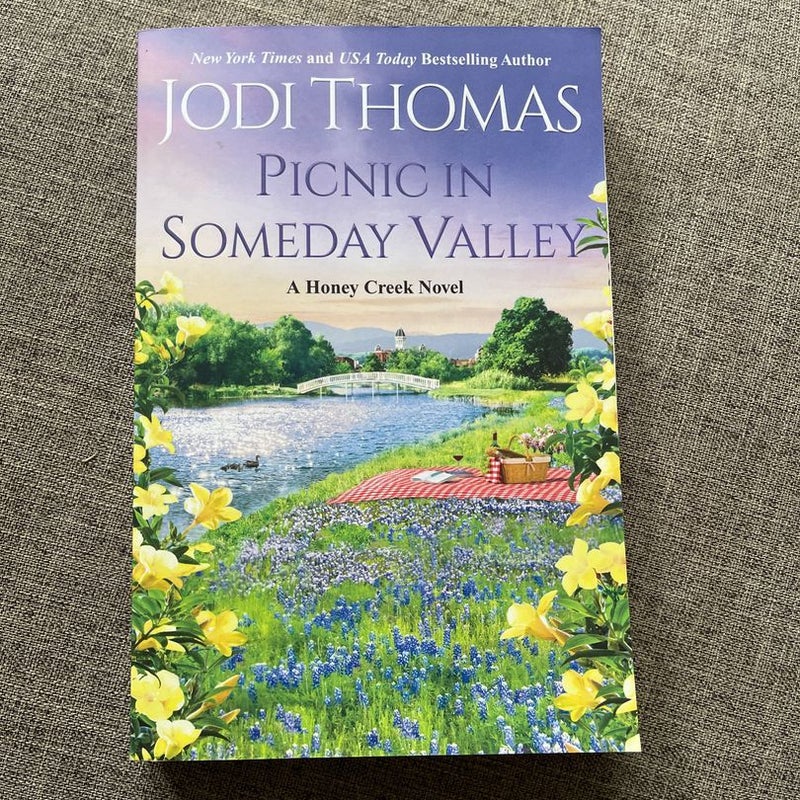 Picnic in Someday Valley