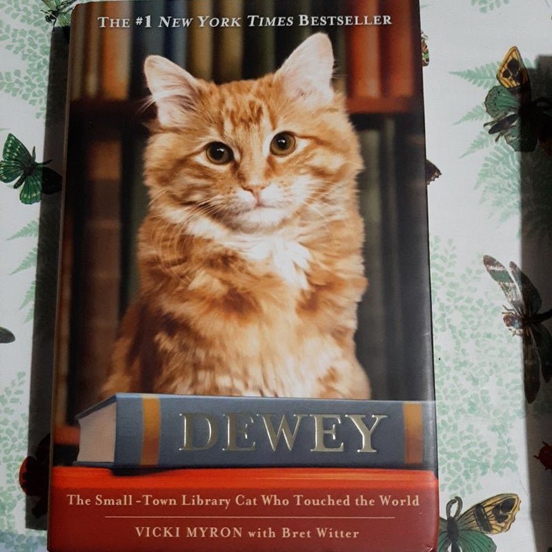 Dewey