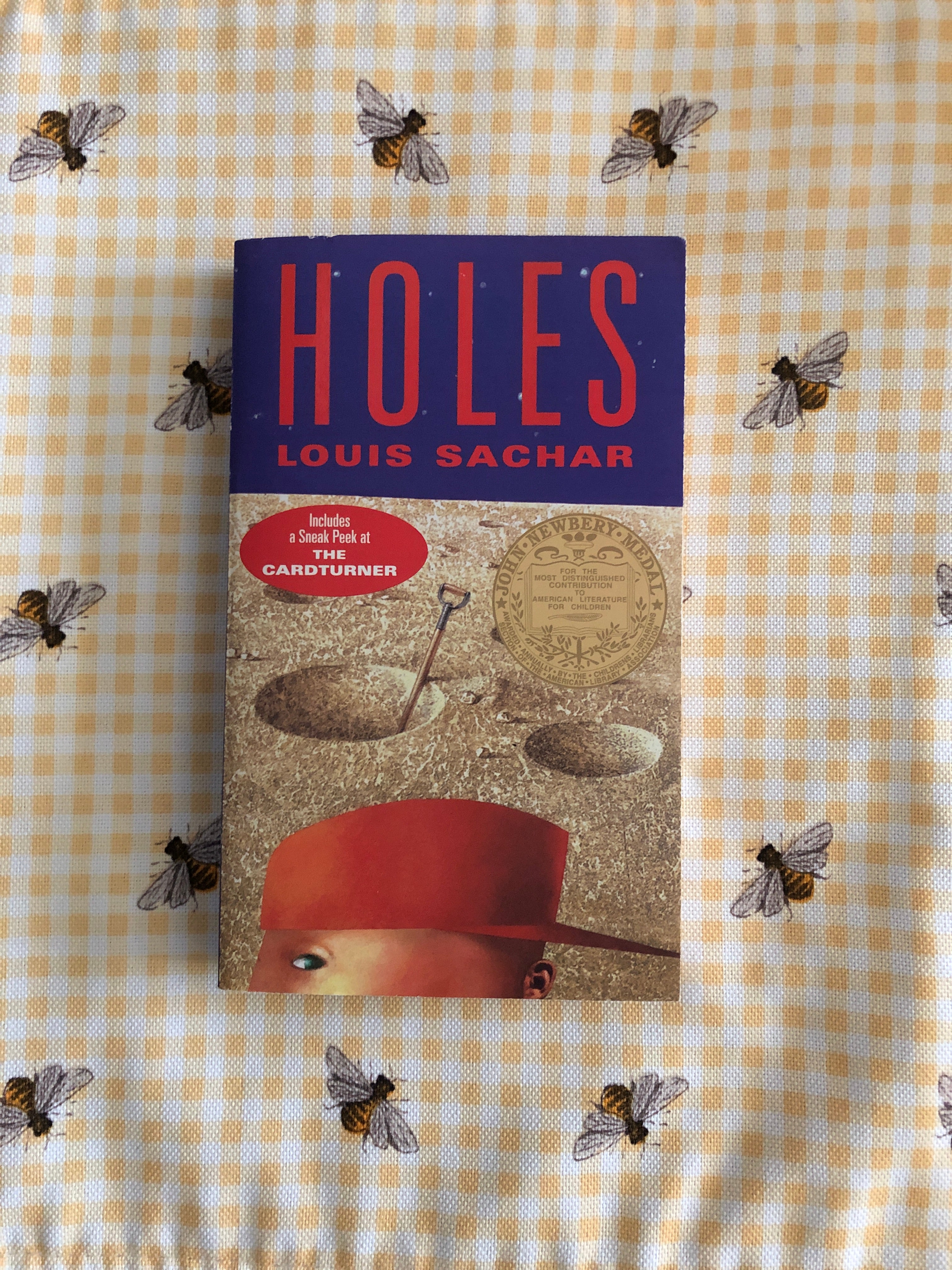 Holes