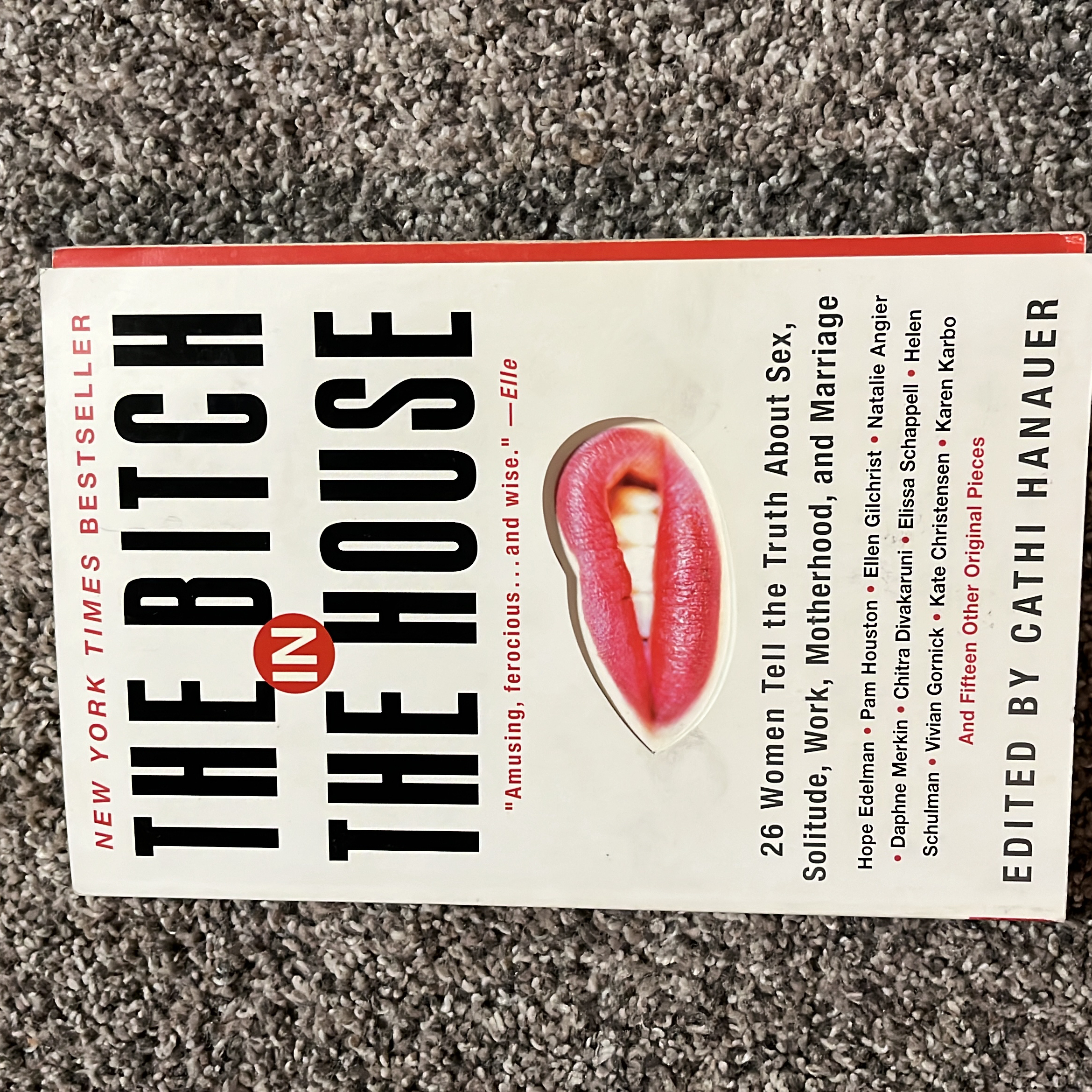 The Bitch in the House