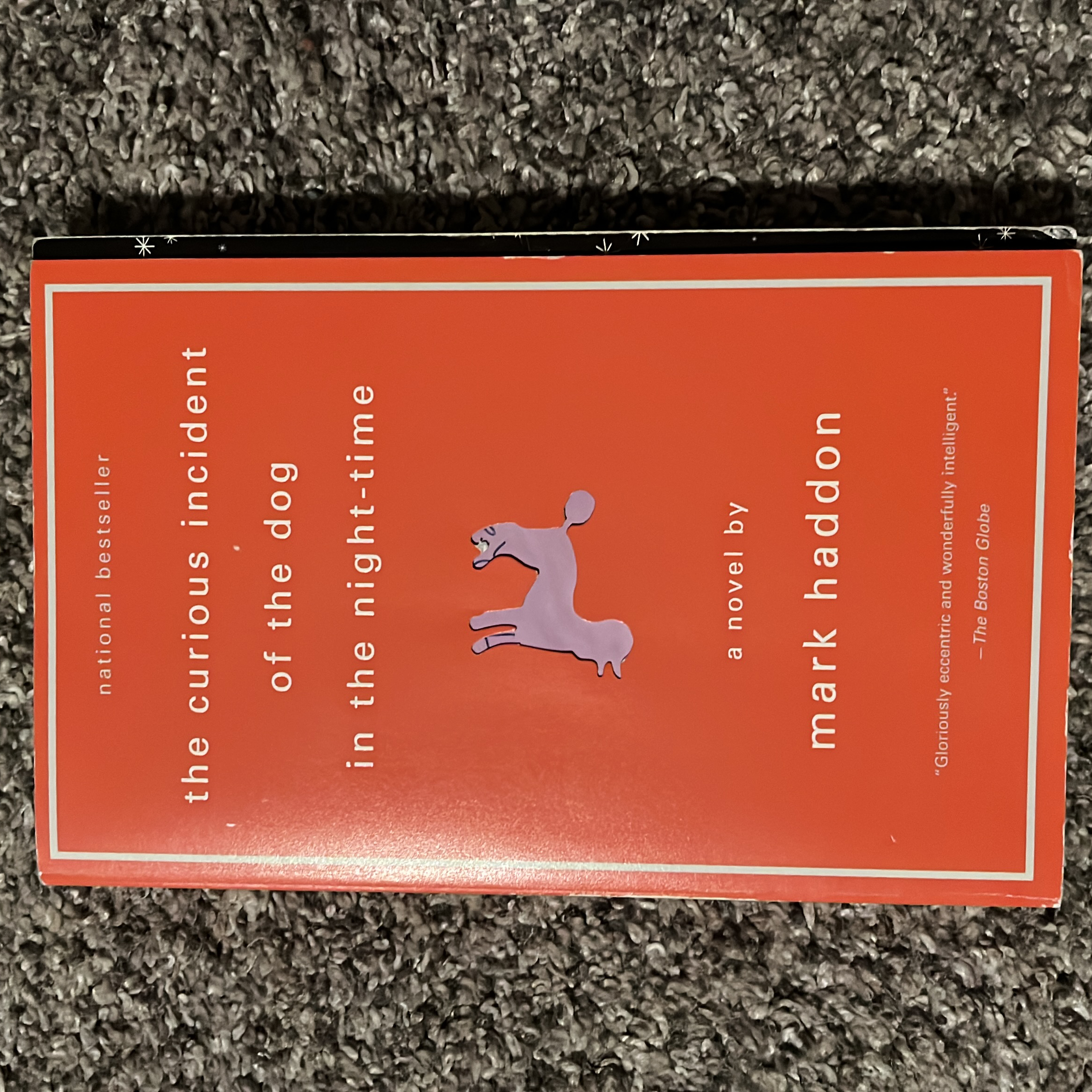 The Curious Incident of the Dog in the Night-Time