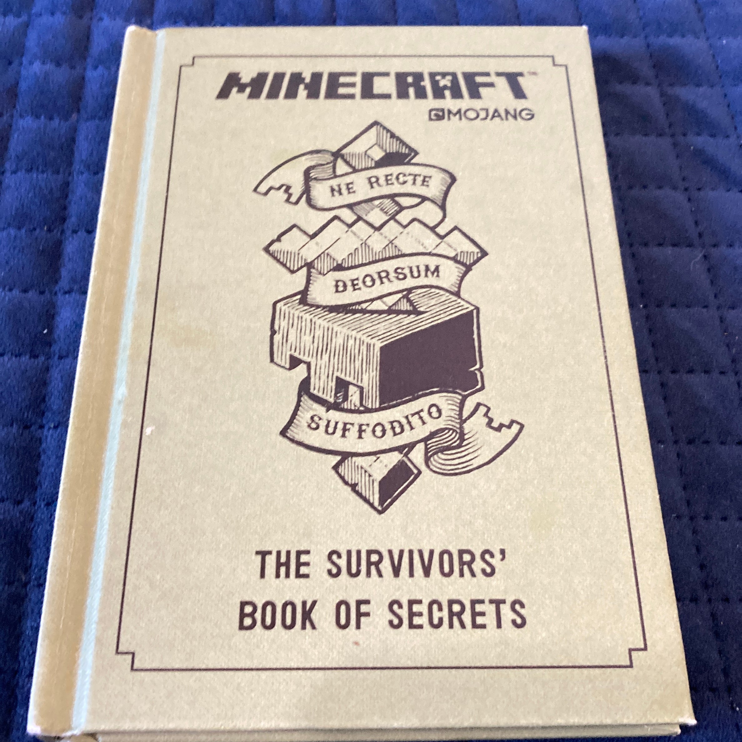 Minecraft: the Survivors' Book of Secrets